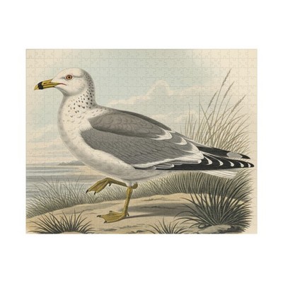 Ring-billed Gull jigsaw puzzle 520 -piece bird watcher hobby nature USA gift