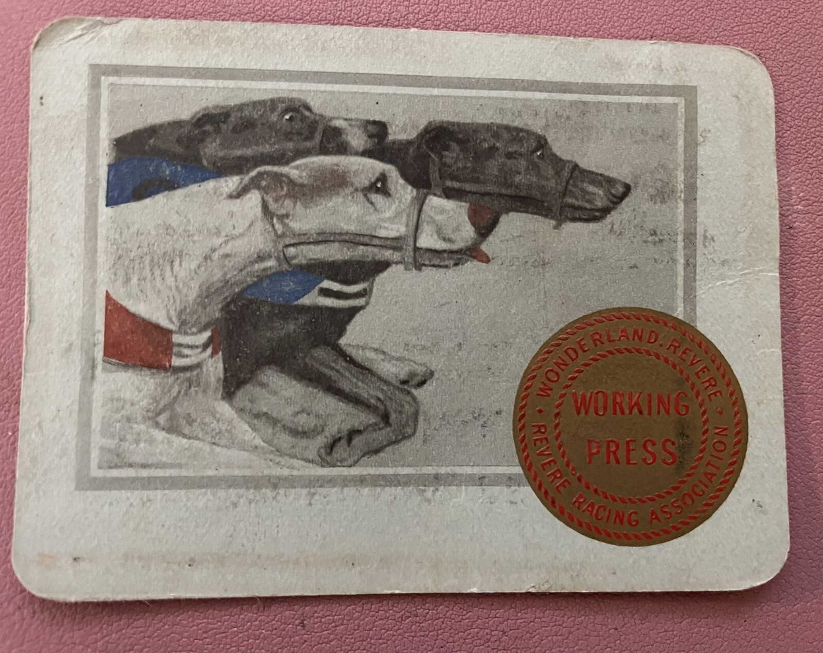 Vintage Wonderland Dog Track Boston Herald Press Pass Card Revere MA