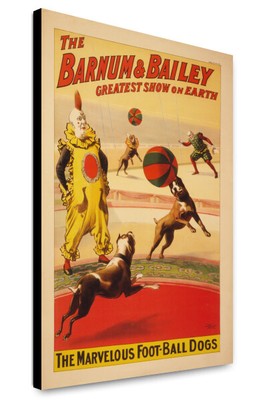 Canvas Print: Barnum & Bailey. The Marvelous Foot-Ball Dogs, 1900