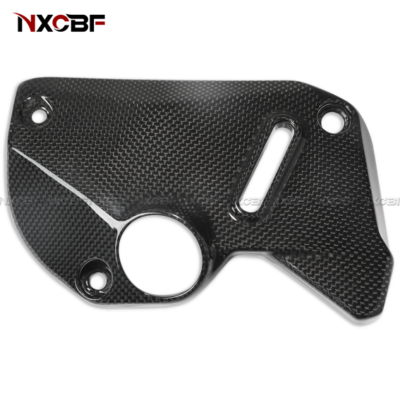 For 2018-20201 Monster 821 Carbon Fiber Right Side Water Coolant