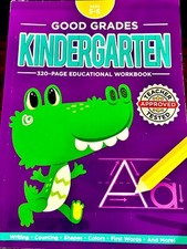 Good Grades Kindergarten 320-Page Educational Workbook Ages 5-6 - VERY GOOD