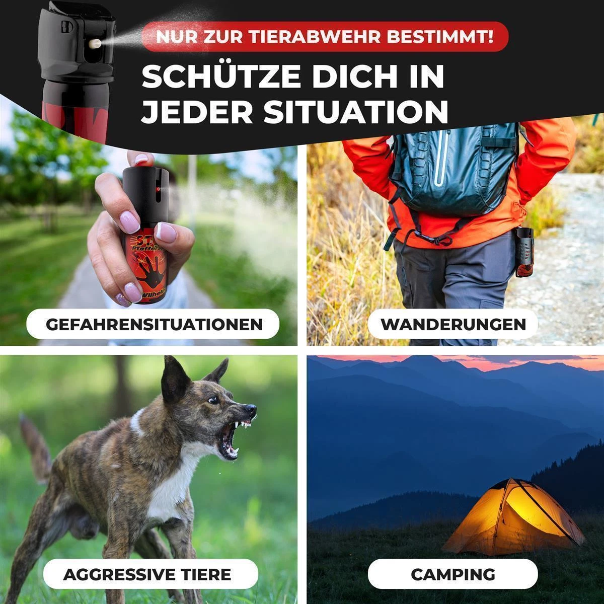 Bild 4 von 6
