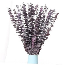 20 Pcs Dried Eucalyptus Stems, 17'' Natural Real Live Eucalyptus Leaves Purple