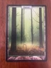 MTG Unhinged Forest Full Art Foil NM/LP Condition