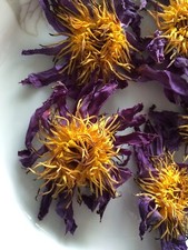  Getrockneter Blauer Lotus ganze Blumen Nymph...