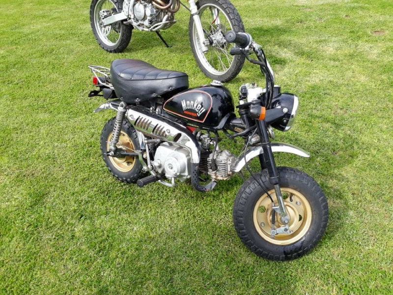 honda monkey gumtree
