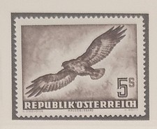 Austria- 1953 - Ptaki 5 szylingów - Myszybussard (Buteo buteo)
