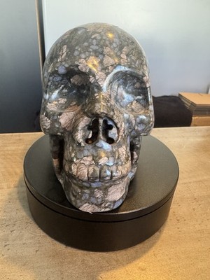 Que Sera Stone Carved Crystal Skull 5.3 lbs