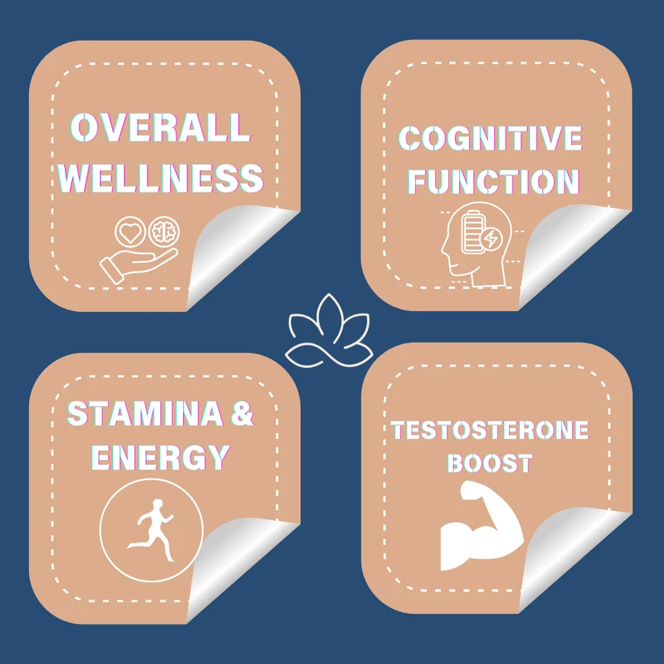 Parche Shilajit + Vitamina Para Hombres Por Himalaya Naturals - Suministro para 30 Días - Parches Foto 4 de 4