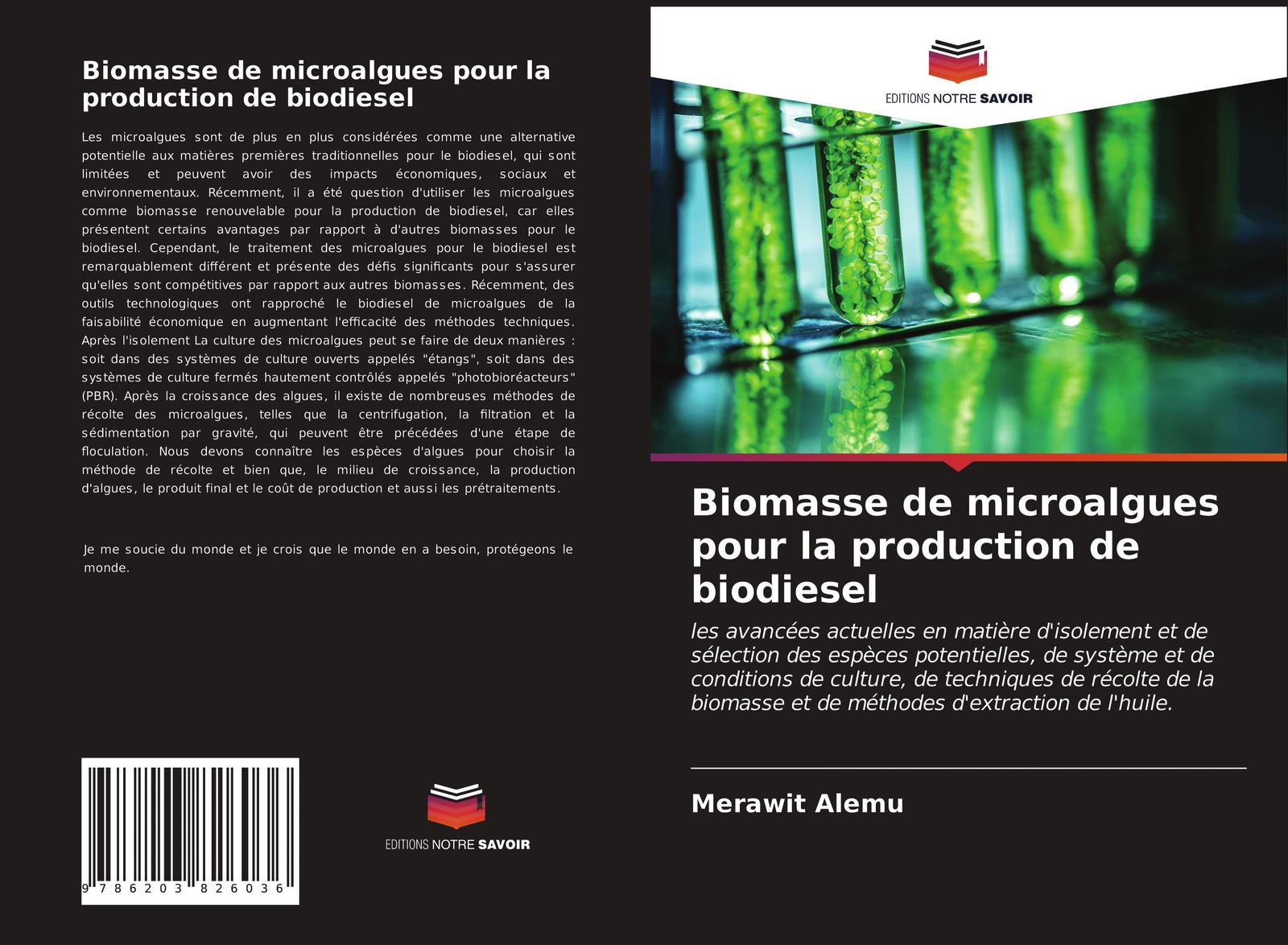 Thumbnail - Merawit Alemu | Biomasse De Microalgues Pour La Production De