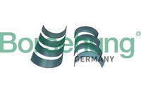 Pleuellager Borsehung B11382 FüR VW Golf 8 CD1 DA1 Tiguan AD1 AX1 Passat B8 3G5