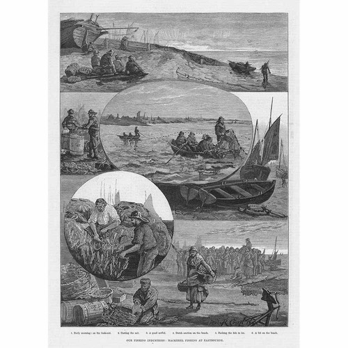 EASTBOURNE Mackerel Fishing at the Town - Antique Print 1883