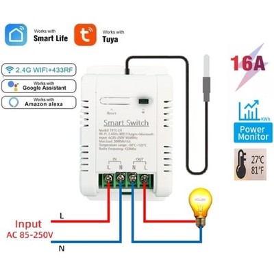 Temperaturregler Sensormodul Tuya App Wireless Remote 16A 3000W Smart Switch DHL