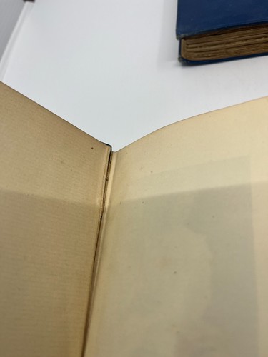 Antique 1889 Diary of Sam Pepys, F.R.S, Complete 6-Volume Set Numerous Portraits - Picture 7 of 16