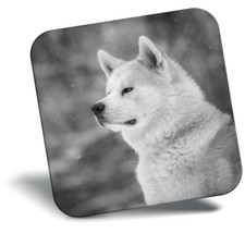 Awesome Fridge Magnet bw - Akita Japanese Shiba Inu Dog  #35336
