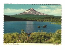 Mount Hood and Trillium Lake, Oregon's famous SENTINEL Peak VTG postcard UNP