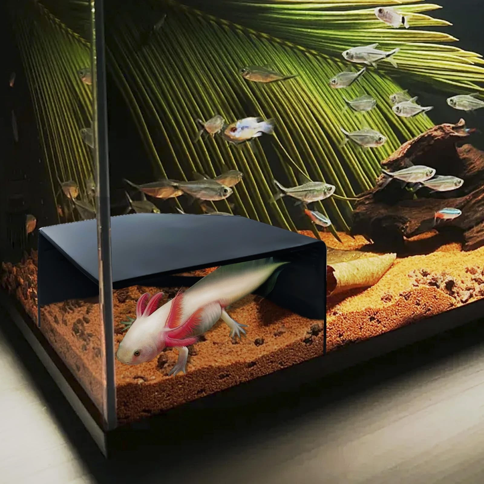 Aquarium Corner Cave Hide Axolotl Cichlid Cave Fish Tank Accessories, Corner Fis
Opens in a new wind