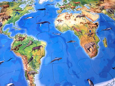 Kinderweltkarte Puzzle Bodenpuzzle Lernpuzzle Weltkarte Second Hand 3+ KIN1024