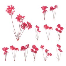 12Pcs, Lace Natural Real Pressed Dried Flower for Art Craft DIY Dark Pink
