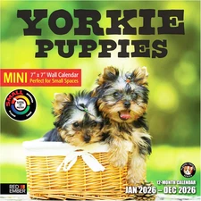 Yorkie Puppies Yorkshire Terriers 2026 Mini Wall Calendar 12 Month | 7" X 14" Op