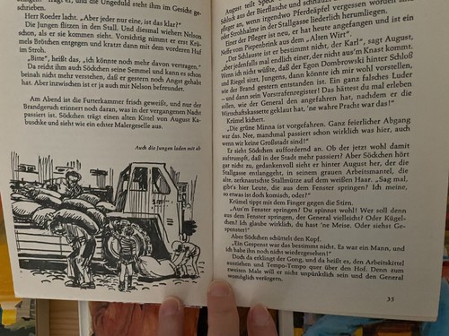 12 Verschieden Kinderbücher - Sammlung von 8 - 14 Jahren - Bild 15 von 24