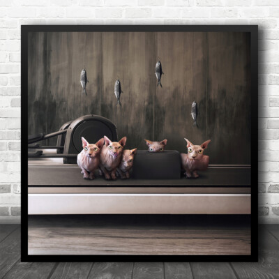 Gym Equipment Sphynx Cats Morphed Abstract Square Wall Art Print