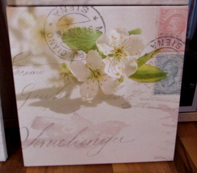 Apfelblüte Deborah Schenck Bild Leinwand Wandbild 35 x 35 cm