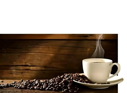 CAFE ORO DE PUERTO RICO GOLD KAFFEE 4 BEUTEL à 14 Unzen pro Stück KOSTENLOSER SCHNELLER VERSAND! - Bild 4 von 4