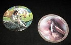 NATIVE AMERICAN INDIAN THE PROMISE & PRAIRIE FLOWER 2 COLLECTOR PLATES — photo 1