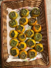 4 WASHABLE WOVEN TRAYS 17"x11"x3" COMPOSED FROM WOVEN PLASTIC OVER METAL