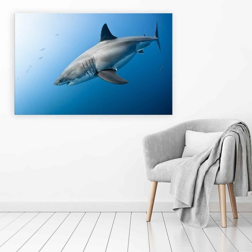 Great White Shark Original Canvas Print Large Picture Wall Art - Picture 7 of 8
