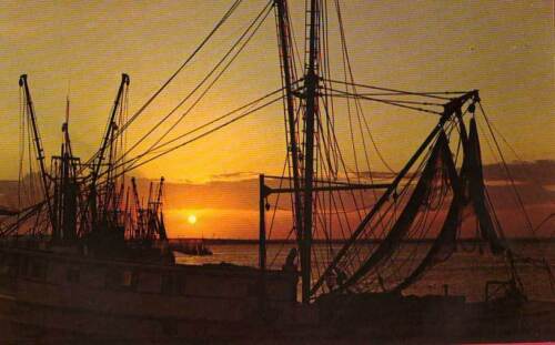 WANCHESE NC Shrimp Boats at Sunset Roanoke Island OBX postcard - Picture 1 of 1