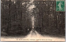 44 BLAIN - Foret du GAvre, an avenue