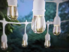 Hampton Bay 12-Light 24 ft. Indoor/Outdoor Plug-In Edison Bulb String Light