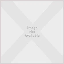 A Birthday for Boots (Dora the Explorer) - Hardcover By Susan Hood - GOOD