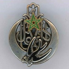 1° Régiment de Tirailleurs Insigne Petit Modèle H 2,2 cm