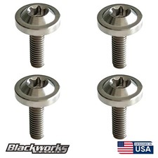 4 Titanium Silver License Plate Anti Theft Security Bolts Torx Screws M6x1.0