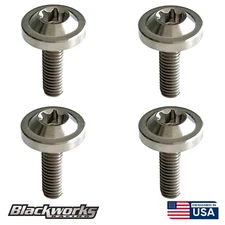 4 TITANIUM SILVER LICENSE PLATE ANTI THEFT SECURITY BOLTS TORX SCREWS M6X1.0