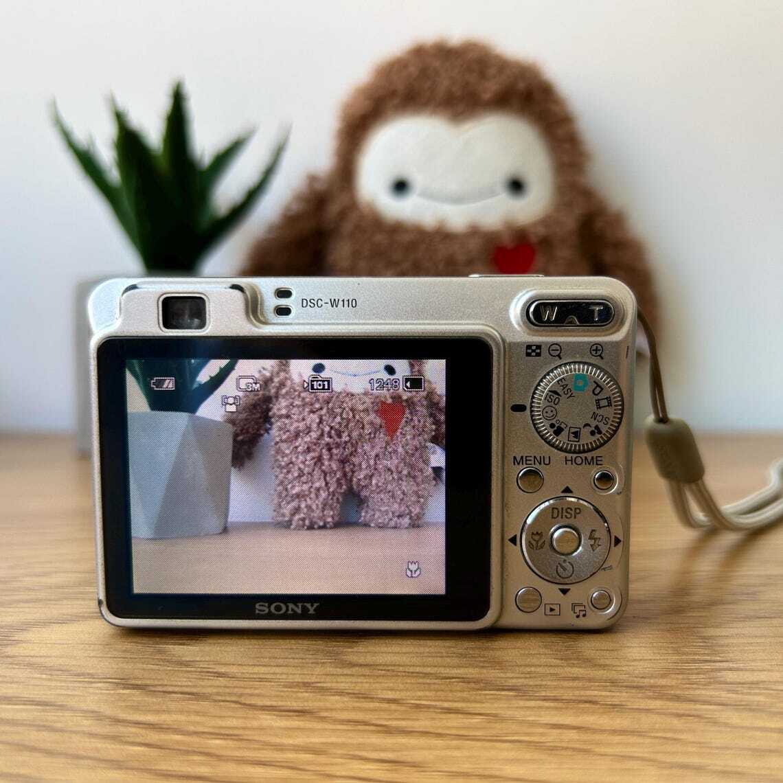 Sony Cyber-Shot DSC-W110 7.2MP CCD Vintage Digital Camera - Silver