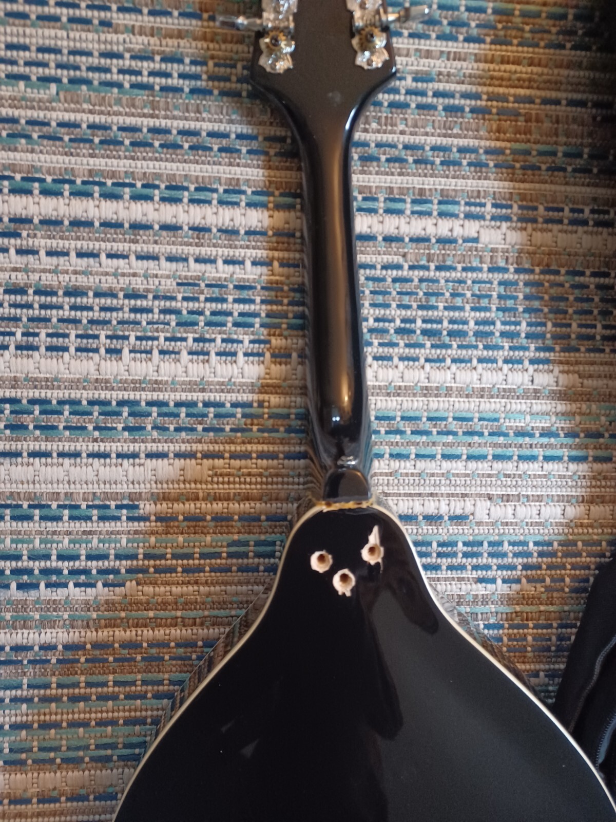 Indiana Mandolin With Soft Case eBay