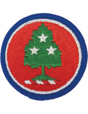 Tennessee National Guard Patch