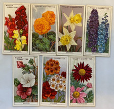 WILLS CIGARETTE CARDS: 7x GARDEN FLOWERS CARDS