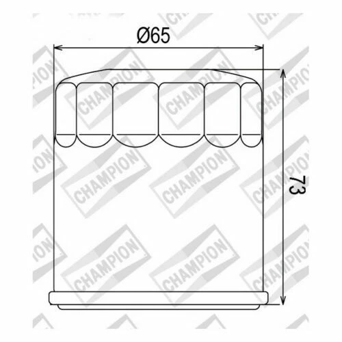 Filtres à huile Champion pour motocyclette Buell