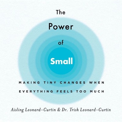 Power of Small Aisling Leonard-Curtin Taschenbuch Kartoniert / Broschiert 2020
