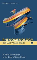 Phenomenology Donald Wallenfang Taschenbuch Kartoniert / Broschiert Englisch