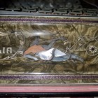 Foto 11 di 24