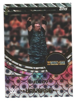2025 Topps WWE Universe Wrestling Rings Parallel Bubba Ray Dudley
