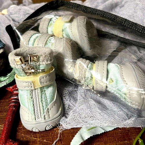 Boots for your maltipoo! Well made, purchased on Etsy