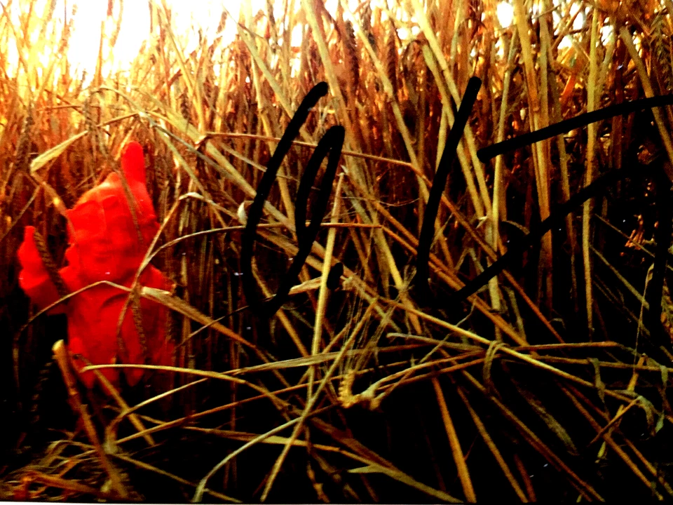 OTTMAR HÖRL Sponti HAND-SIGNIERT, Multiple, mit Rahmen, SELTEN - Bild 4 von 4