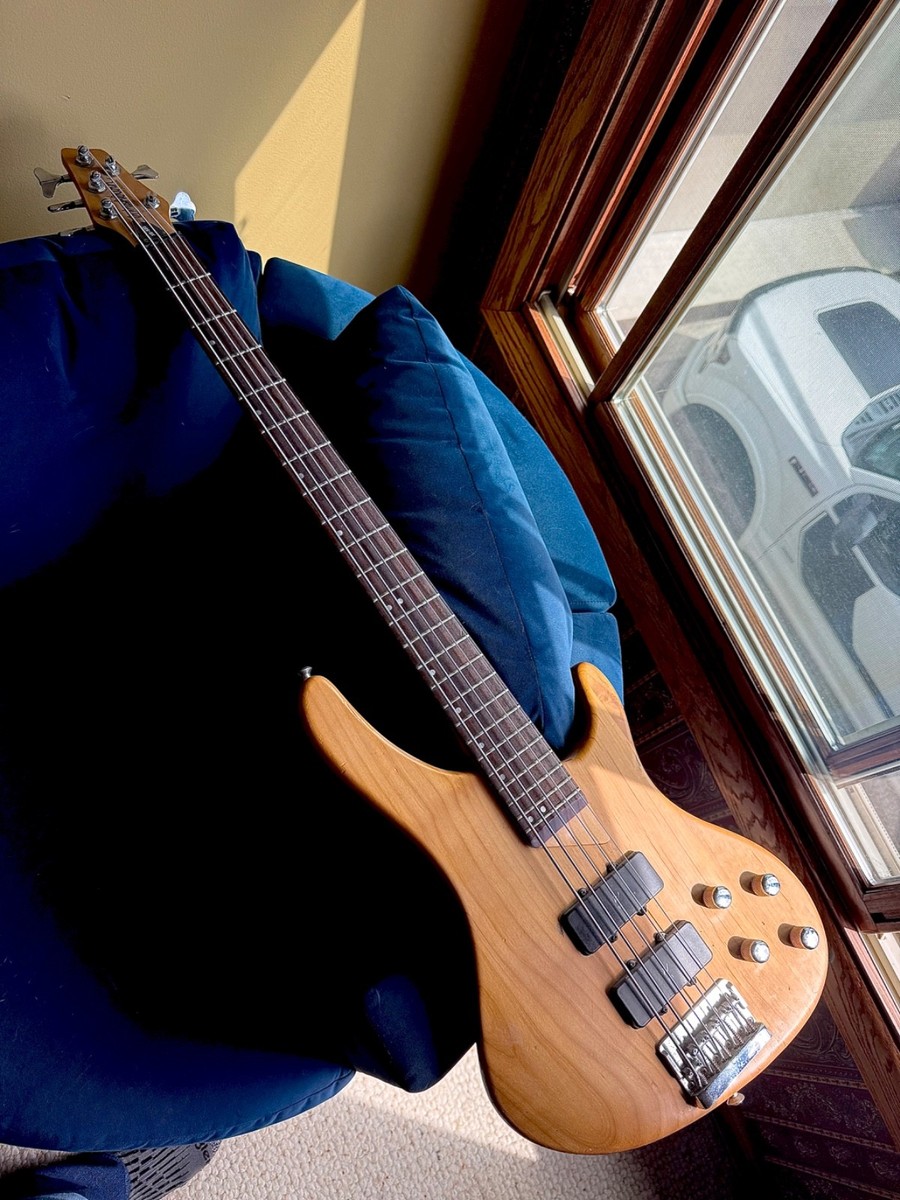 washburn five string bass guitar | eBay